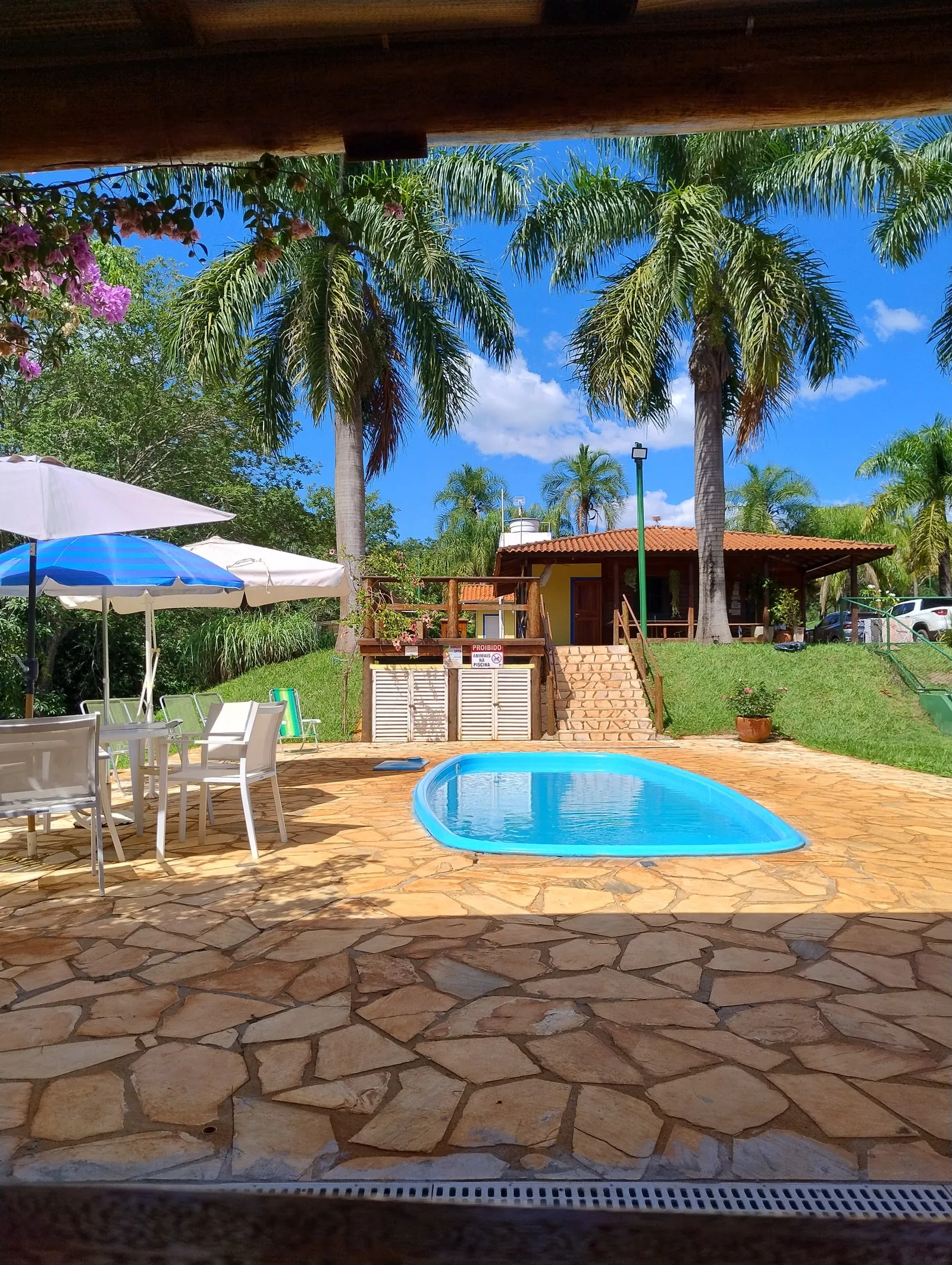 Piscina azul do Rancho SPPA entre coqueiros, em dia de sol